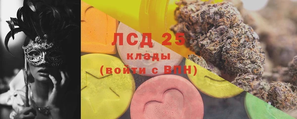 сатива Балахна