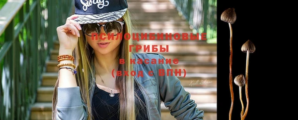 дживик Баксан