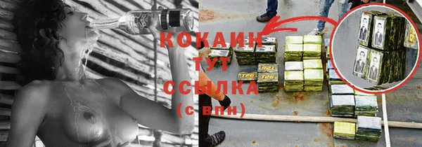 сатива Балахна