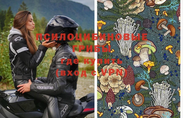 apvp Пестово