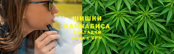 дживик Баксан